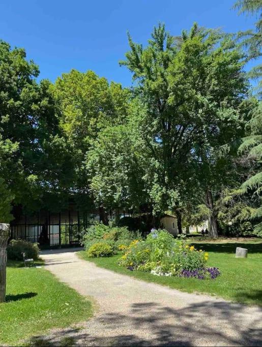 Appartement Familial Proche D'Un Site Historique Périgueux Exteriör bild